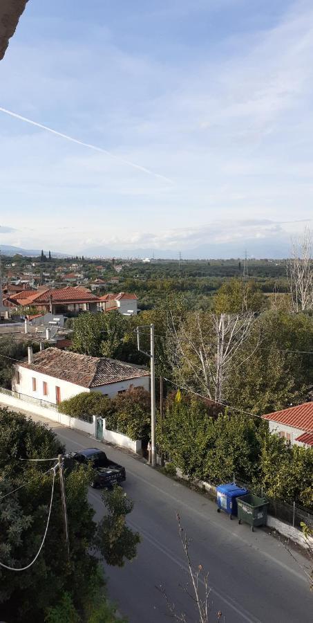 Nikolaíika Hotel Themisto מראה חיצוני תמונה